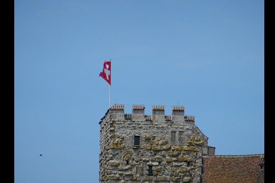 Sony Cyber-Shot DSC-HX60V : 30x Zoom auf die Schweizerfahne auf dem Schloss